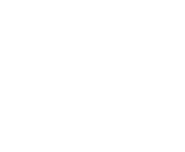 DS-MAX Properties logo